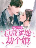 獨(dú)占冷少：總裁爹地，劫個(gè)婚