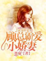 婚婚欲醉：顧總追妻套路深