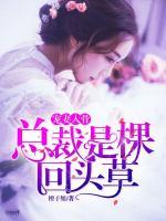 寵妻入骨：總裁是棵回頭草