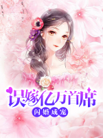 閃婚成寵，誤嫁億萬(wàn)首席