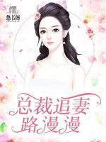 總裁追妻路漫漫