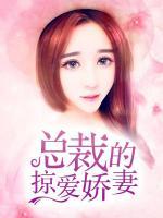 總裁的掠愛嬌妻