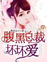 腹黑總裁壞壞愛