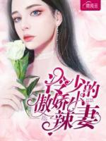 冷少的傲嬌小辣妻