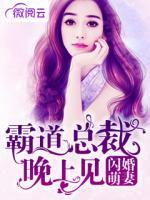 閃婚萌妻：霸道總裁晚上見！