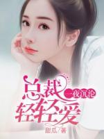 一夜沉淪總裁輕輕愛(ài)
