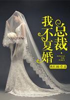 總裁，我不復婚