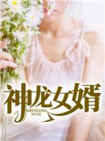神龍女婿