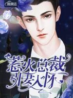 惹火總裁引妻入懷