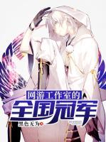 網(wǎng)游工作室的全國冠軍