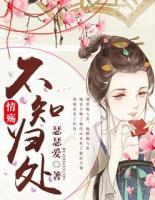 情殤不知?dú)w處