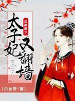 啟奏殿下，太子妃又翻墻