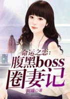 命運之戀:腹黑boss圈妻記