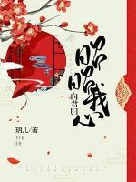 昭昭我心向君歸