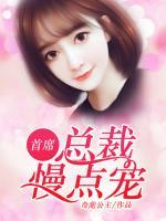 首席總裁，慢點寵