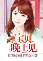 代婚總裁：寶貝，晚上見
