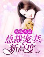 愛你不負(fù)：總裁寵妻新高度