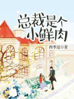 總裁是個小鮮肉