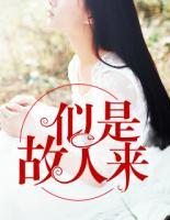 似是故人來