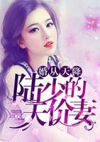 婚從天降：陸少的天價(jià)妻