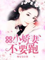 寵妻成癮，小嬌妻不要跑
