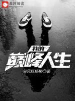 我的巔峰人生
