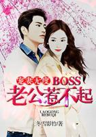 寵妻無(wú)度:BOSS老公惹不起