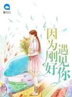 因?yàn)閯偤糜鲆?jiàn)你