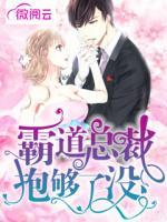 霸道總裁抱夠了沒