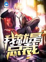 我就是總裁