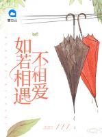 如若相遇不相愛