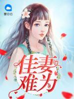 佳妻難為