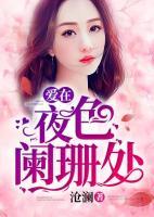 愛(ài)在夜色闌珊處
