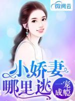 一寵成癮：小嬌妻，哪里逃