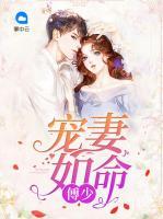 傅少寵妻如命