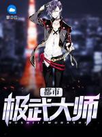 都市極武大師