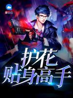 護(hù)花貼身高手