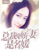 總裁的嬌妻是名媛