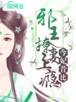 今妃昔比：邪王撩妻上癮