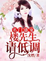 名門盛寵：樓先生請低調