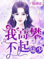陸少，我高攀不起