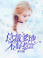 替嫁成歡：總裁爹地不好惹