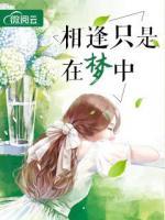 相逢只是在夢中