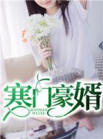 寒門豪婿