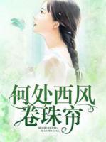 何處西風(fēng)卷珠簾