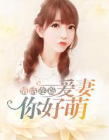 情話連篇：愛(ài)妻你好萌