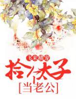 飛來橫寵：撿個太子當老公