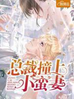 總裁撞上小蠻妻