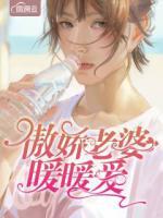 傲嬌老婆暖暖愛