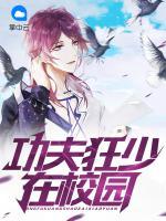 功夫狂少在校園